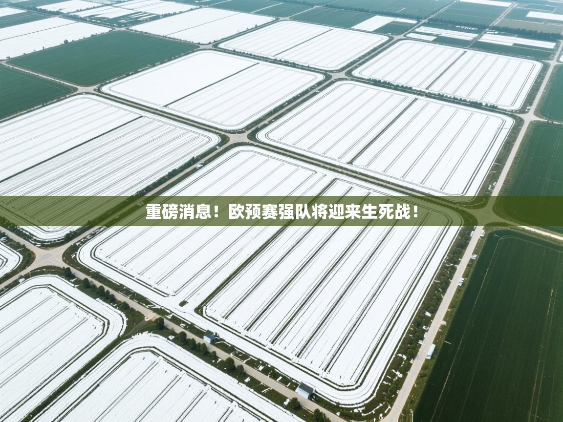 重磅消息！欧预赛强队将迎来生死战！  第1张