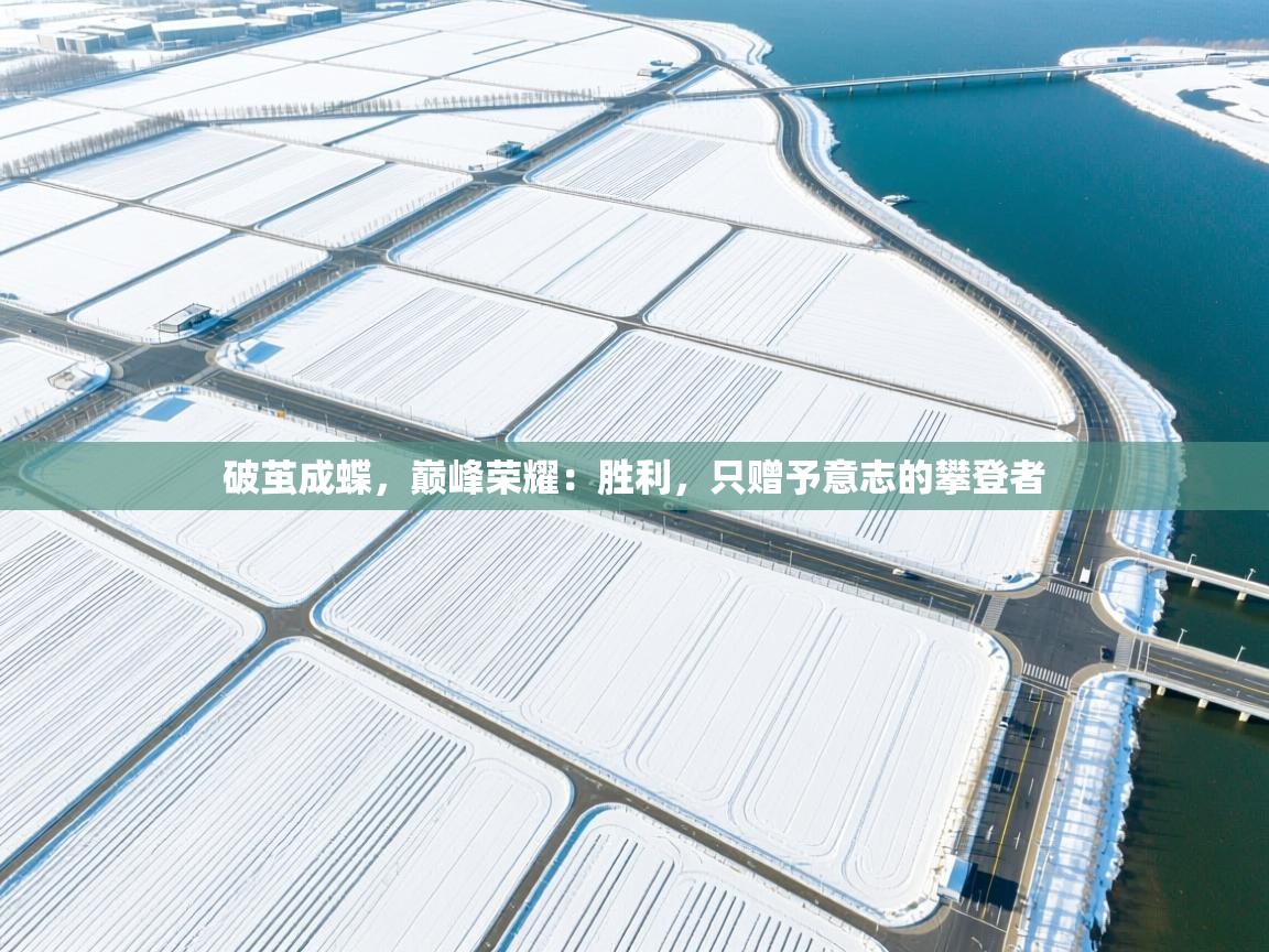 破茧成蝶，巅峰荣耀：胜利，只赠予意志的攀登者  第2张